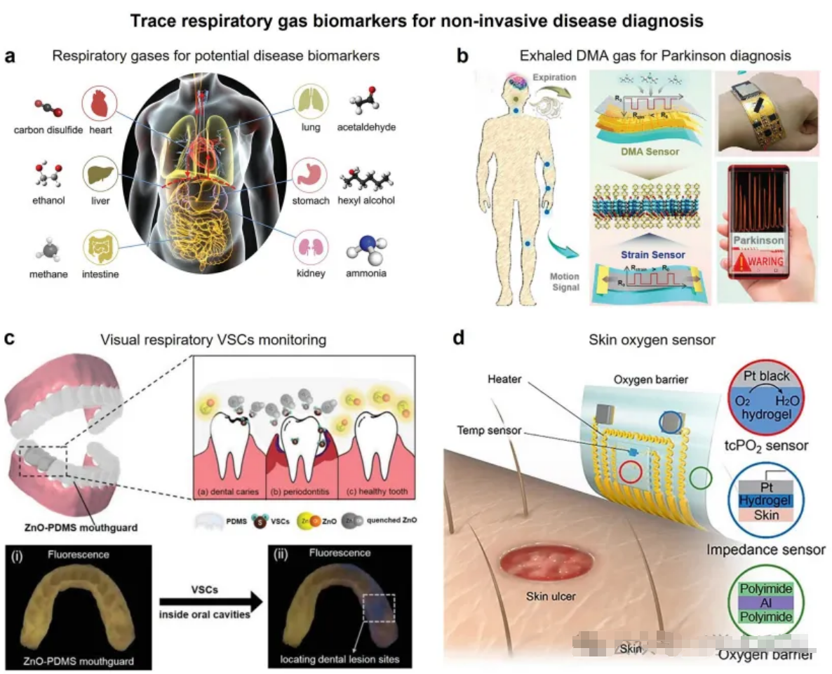 Fig. 6 Multi-functional gas sensor of pathological biomarkers for disease diagnoses