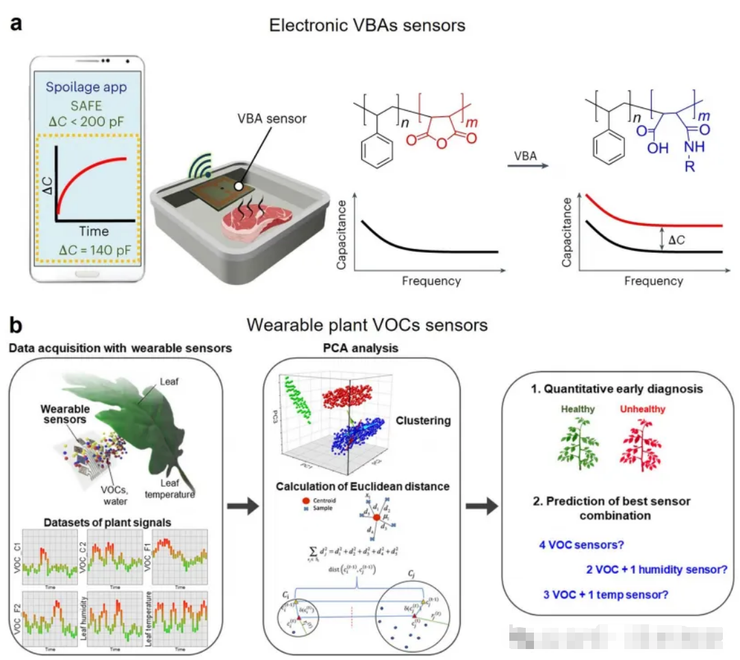 Fig. 7 Smart gas sensors for food freshness and spoilage of protein-rich food